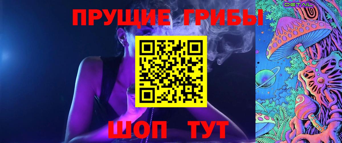 закладки  Галлюциногенные грибы Psilocybine cubensis  Вход с VPN  Соль-Илецк 