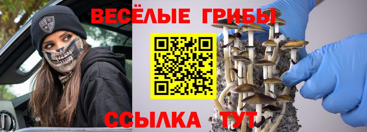 Псилоцибиновые грибы мицелий Соль-Илецк