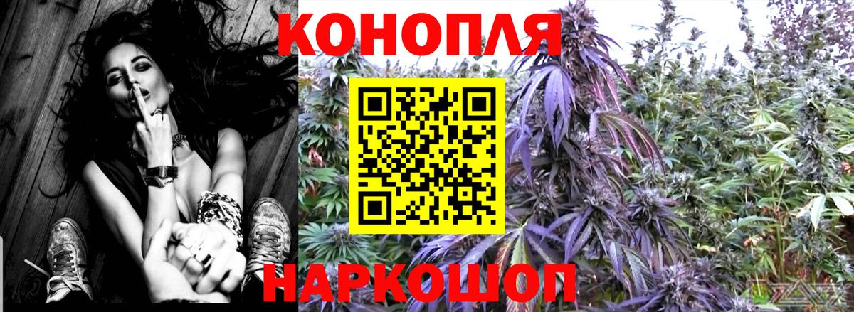 Марихуана OG Kush Соль-Илецк